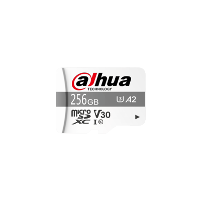 Dahua TF-P100-256G - Scheda Micro SD 256 GB