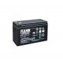 Fiamm FG20721- Batteria a secco 12V 7,2Ah