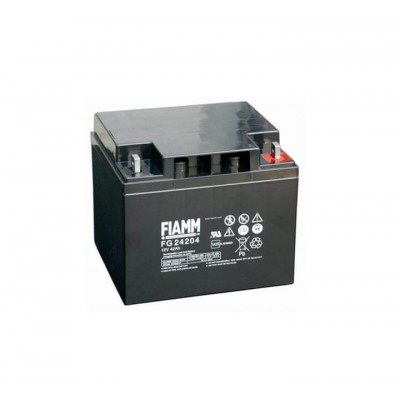 Fiamm FG24204 – Batteria a secco 12V 42Ah