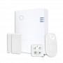 Risco RW432P801EUA - Kit LightSYS Air Centrale 4G + 1 X95P iWave PIR/PET + 1 X78 contatto slim + 1 KF8 telecomando Panda